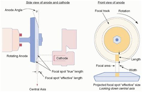 FOCAL TRACK .